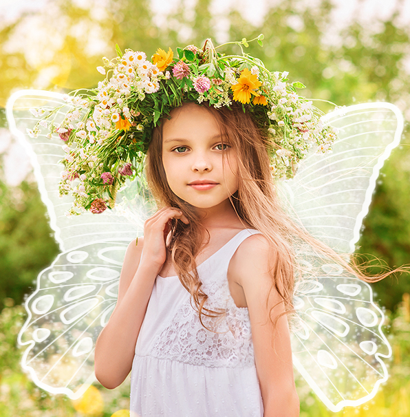 entire collection lightroom presets